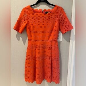 Banana Republic Laser Cut Scalloped Dress